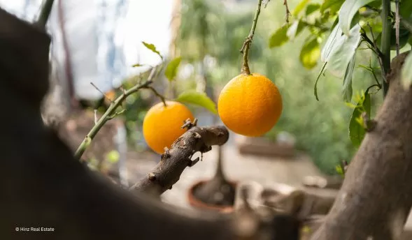 HRE_Mallorca_Brunngraber-15